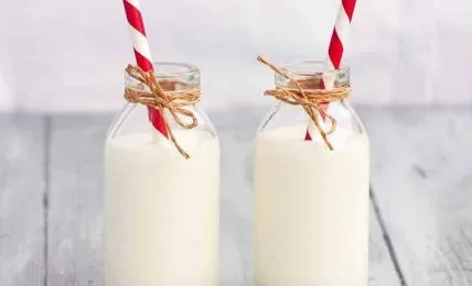 actimel recetasthermomix.net