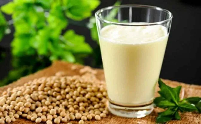 leche de soja recetasthermomix.net