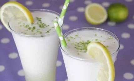 sorbete de limon recetasthermomix.net