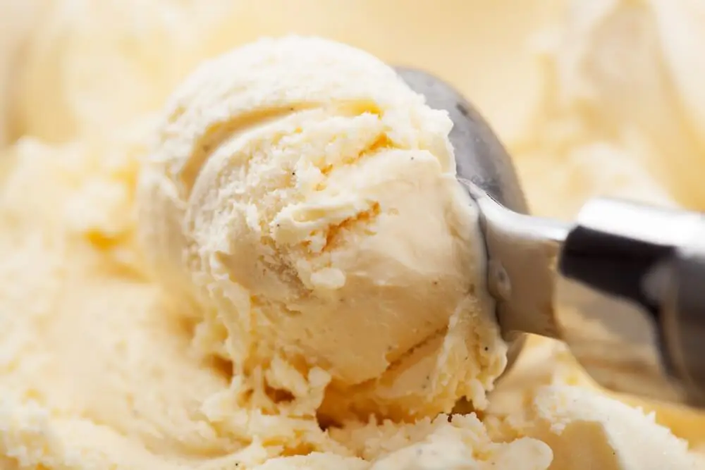 helado-de-mantecado-recetasthermomix.net