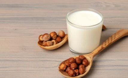 Leche vegetal casera
